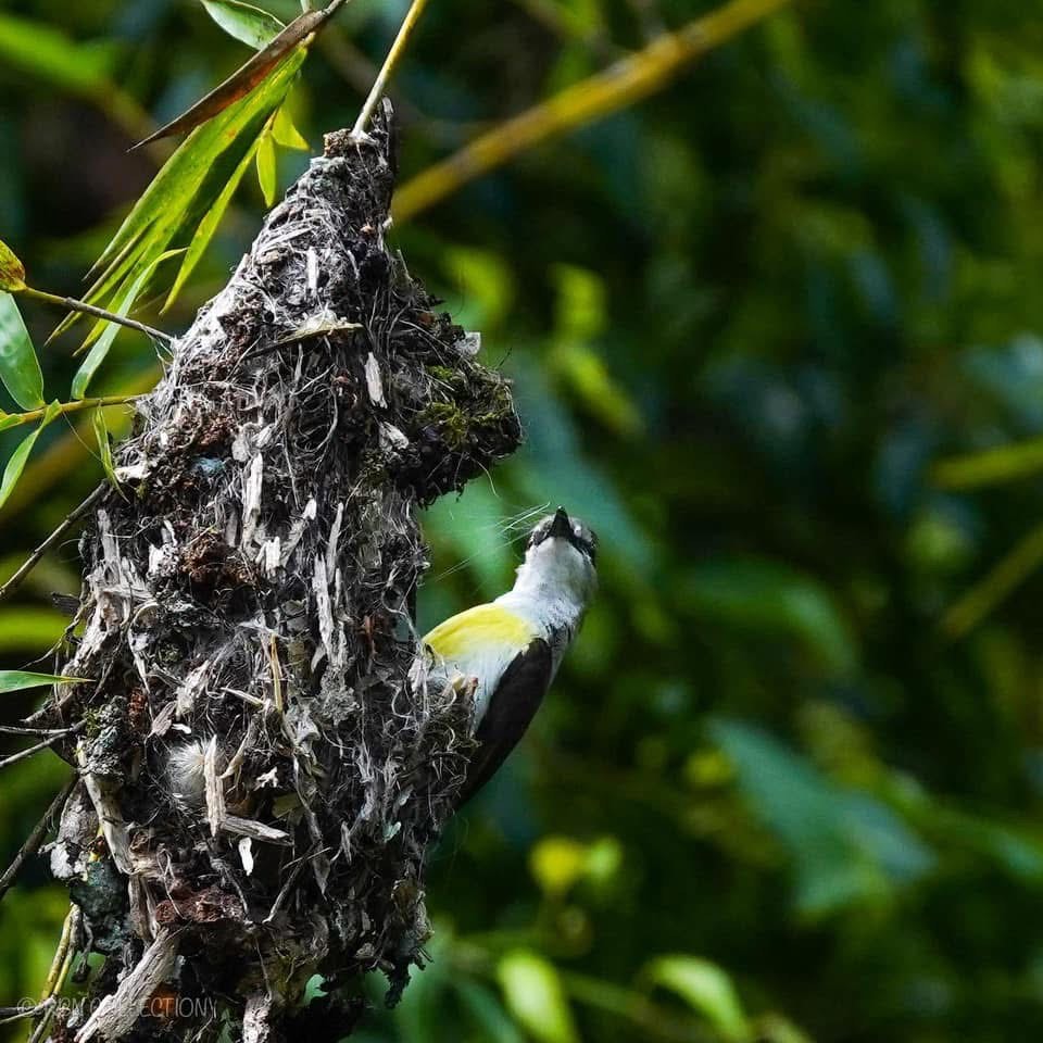 Surrounding environment