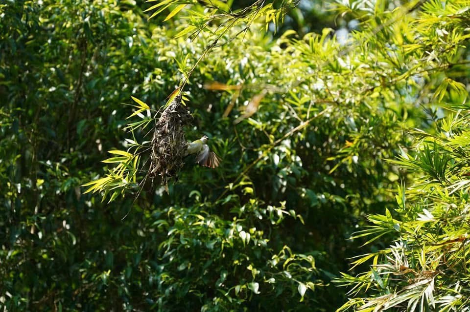 Surrounding environment