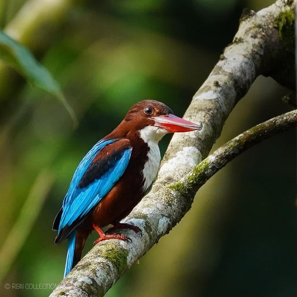 Surrounding environment