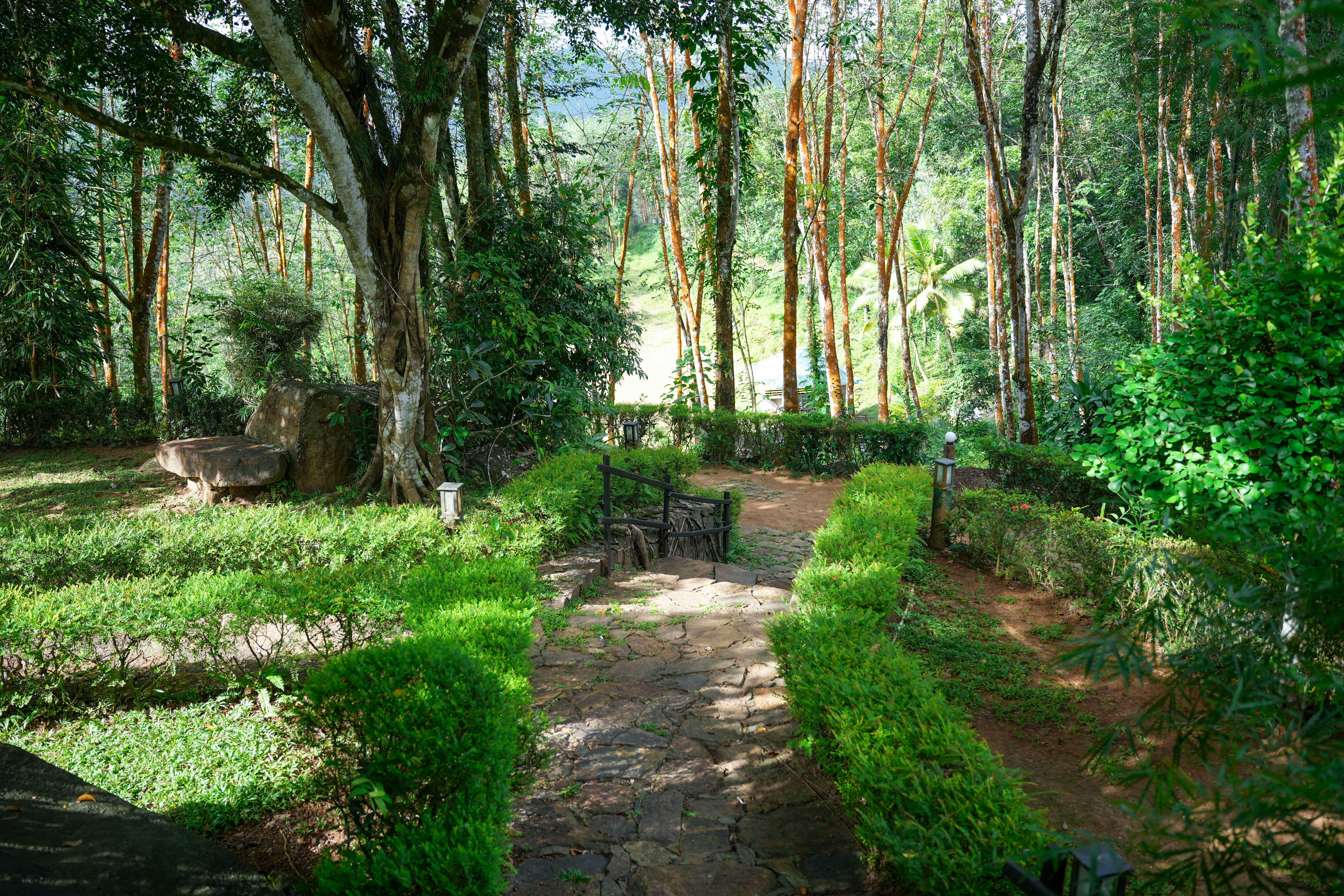 Surrounding environment