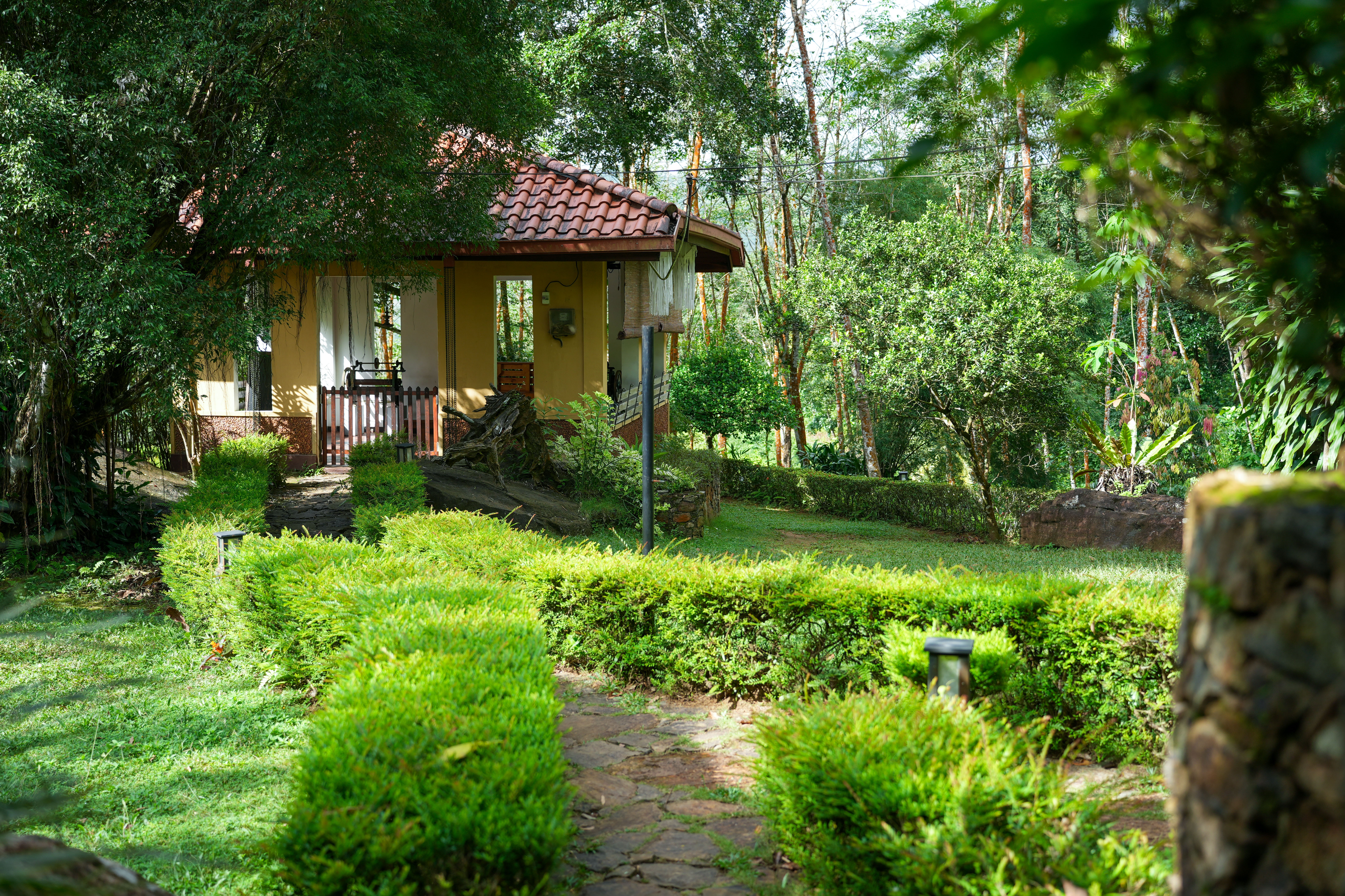 Surrounding environment