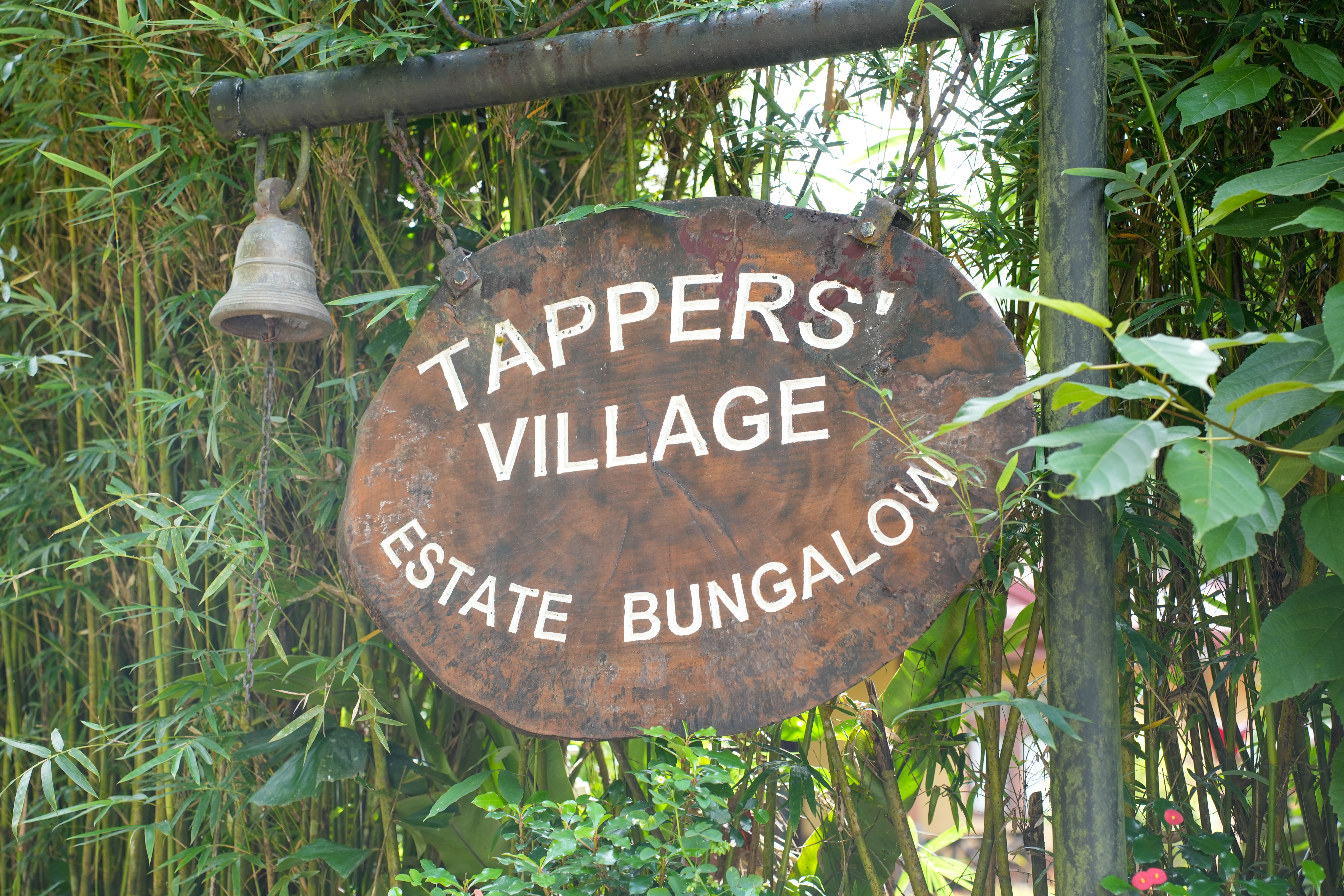 Surrounding environment